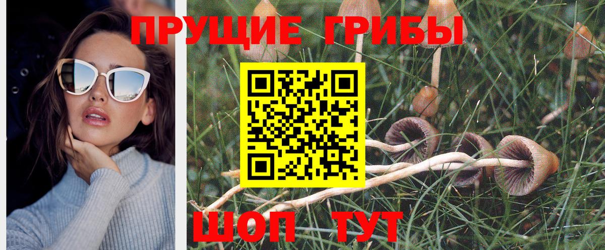 Псилоцибиновые грибы Magic Shrooms Воронеж